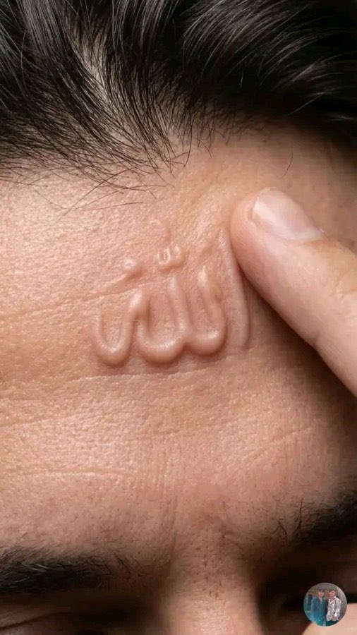 🩷❤️اُمِ نُورِ جَہاں ❤️🩷 tweet media