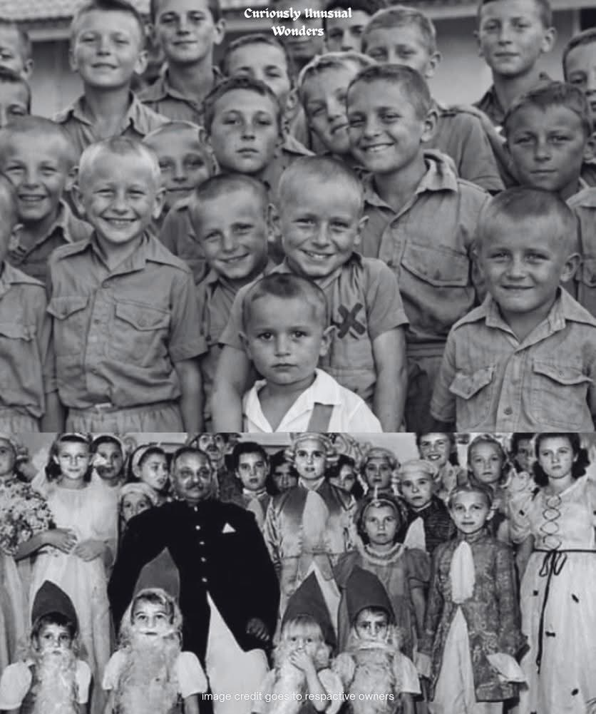 Mr PitBull tweet media