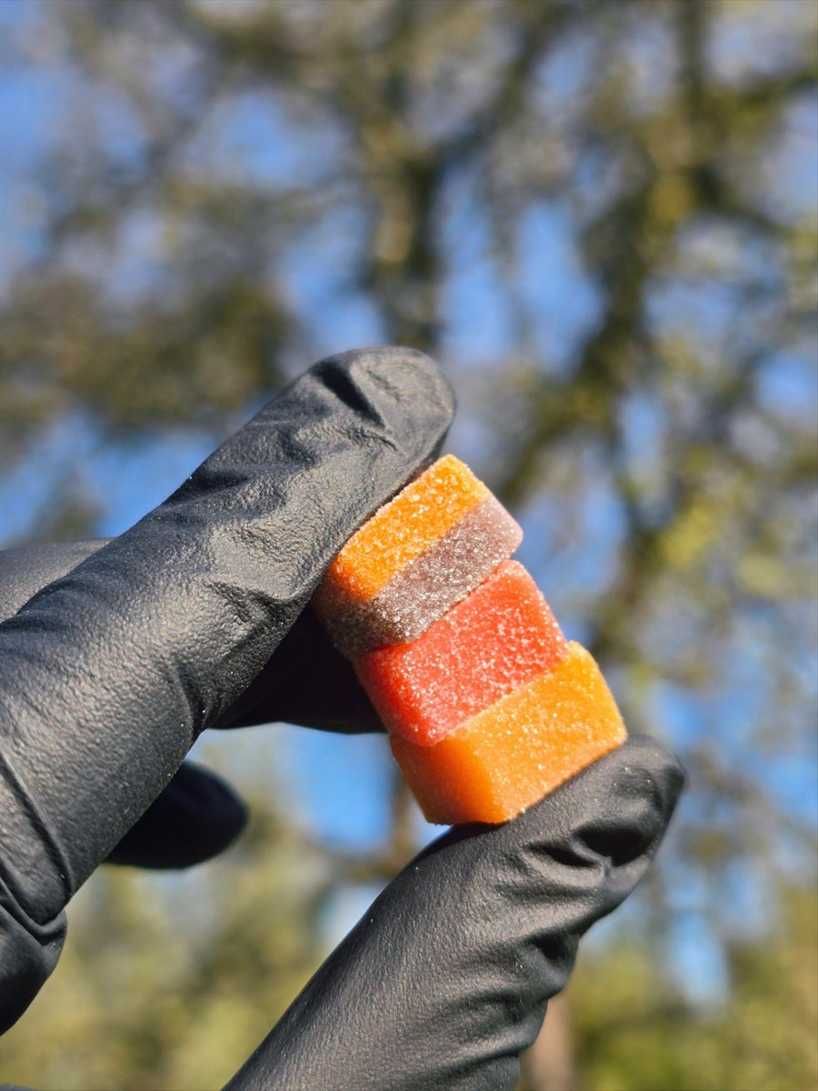 CozyCubes tweet media