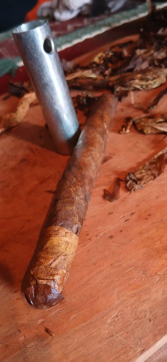 Shama Daddy tweet media