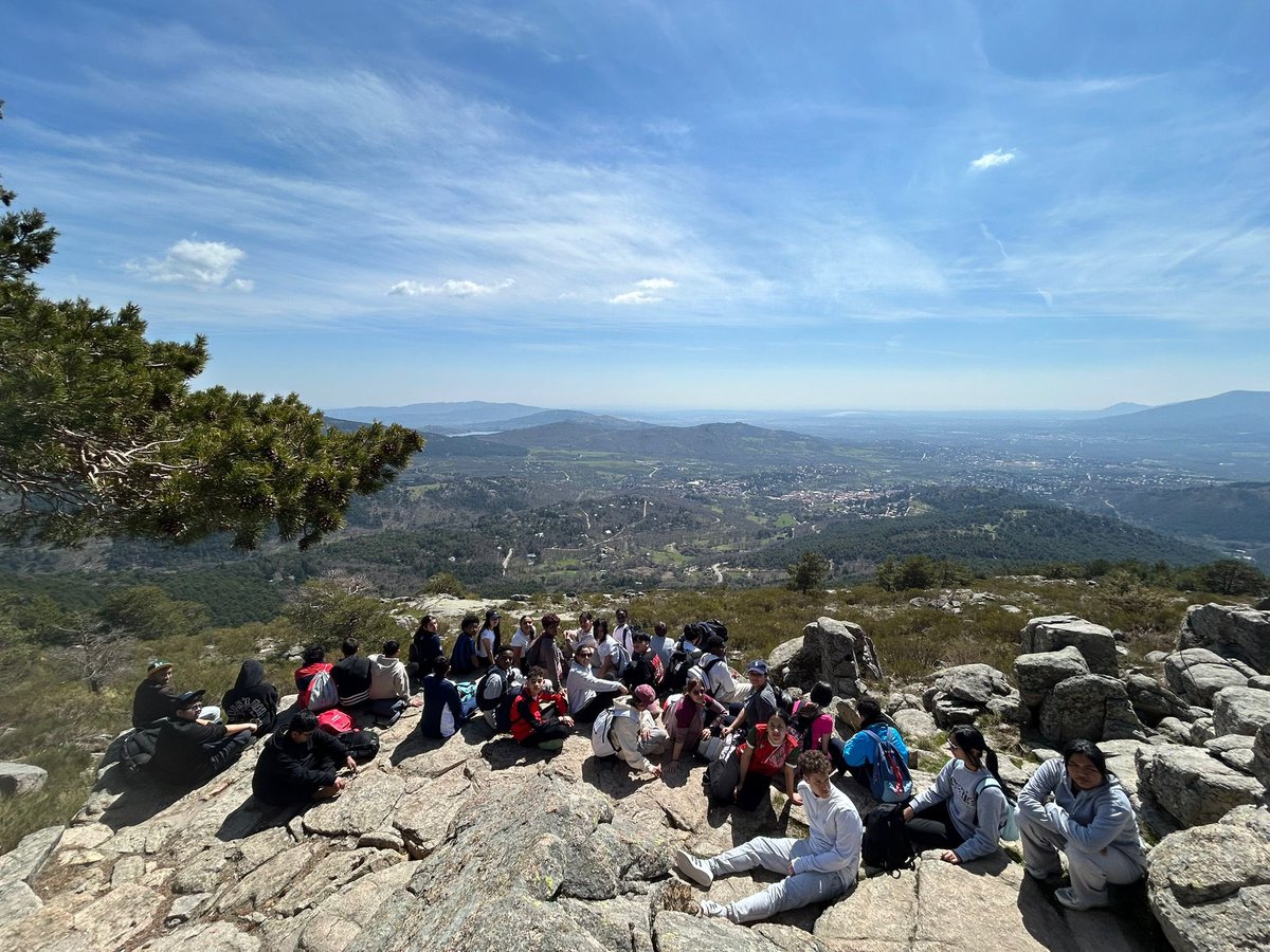 Colegio San Alfonso tweet media