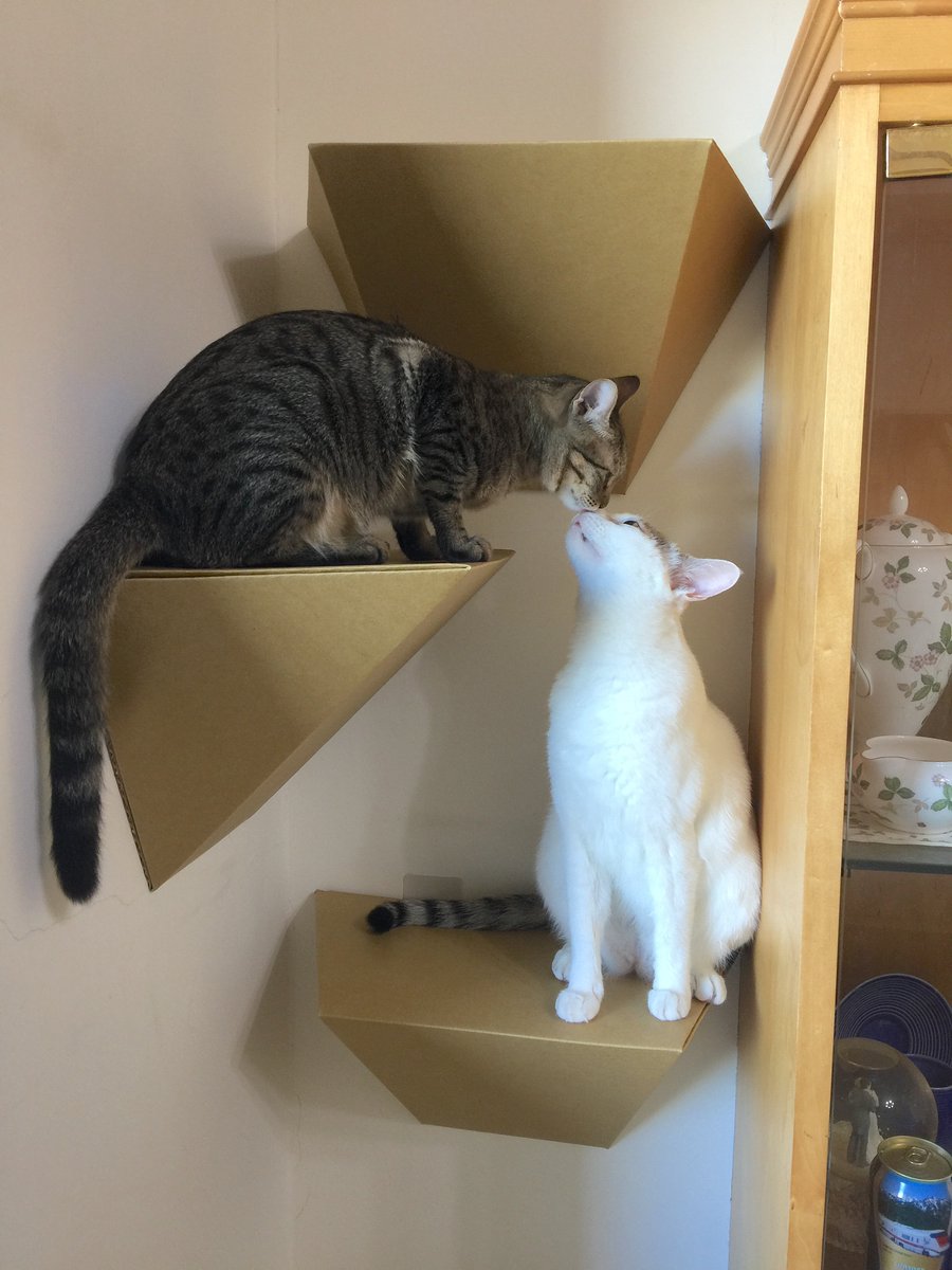 Gil Fontes tweet media