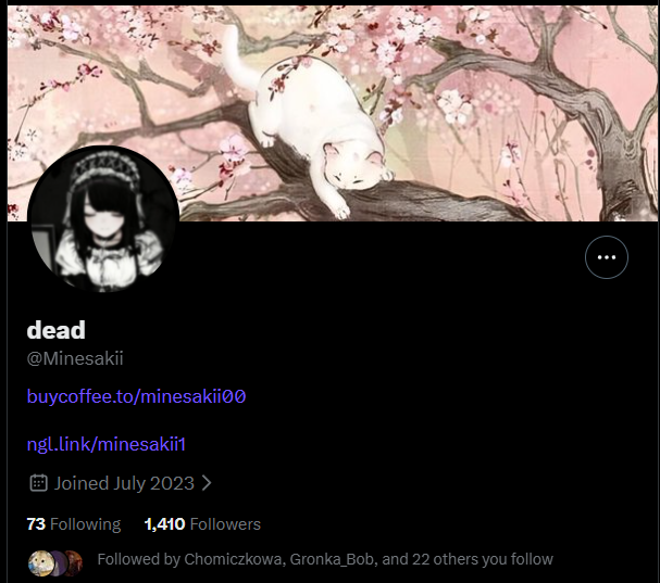 Meru Techniczna🏳️‍⚧️ tweet media