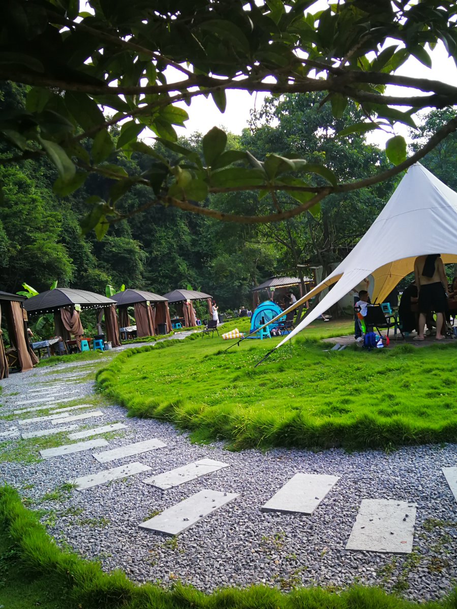 meriem dhouib tweet media