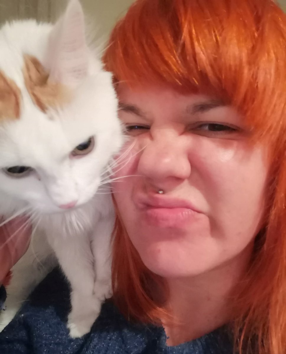 miaumiau tweet media