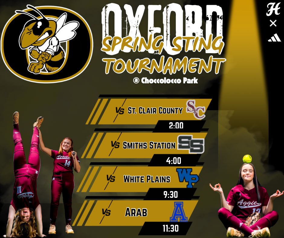 Hamilton Softball tweet media