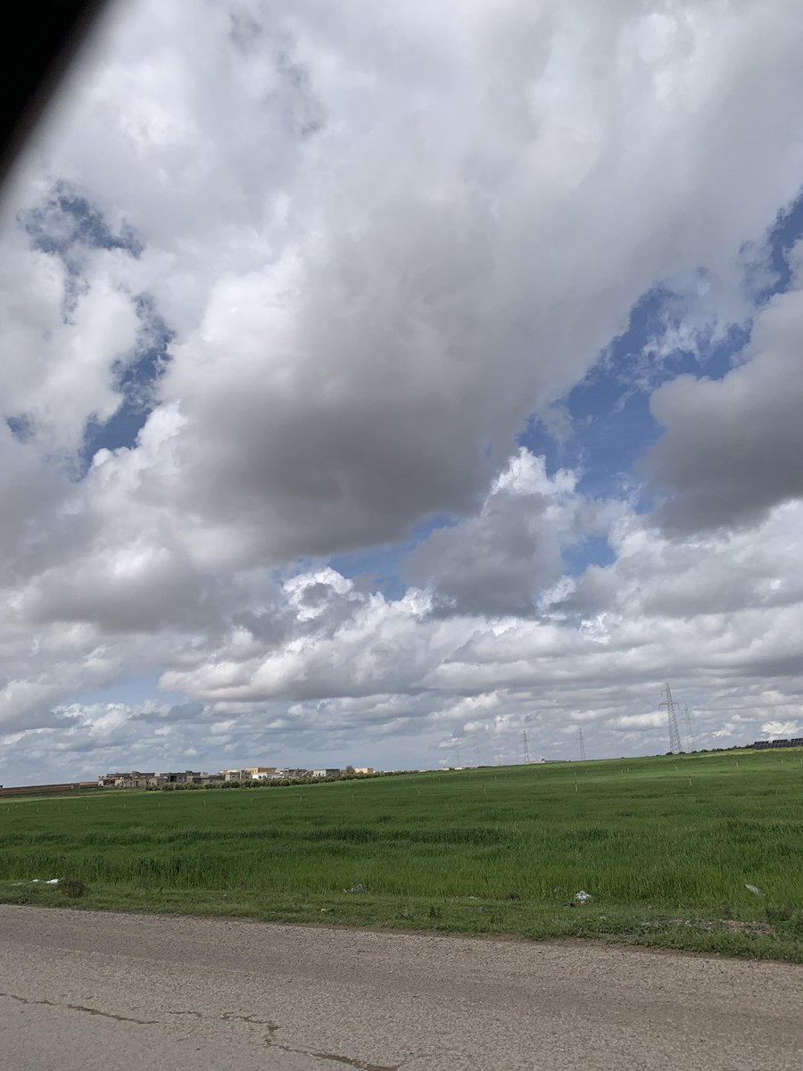 YASSINALTORKI's tweet photo. ربيع ريف الرقة المنصورة 📍هذه السنة https://t.co/czAkLCogyV