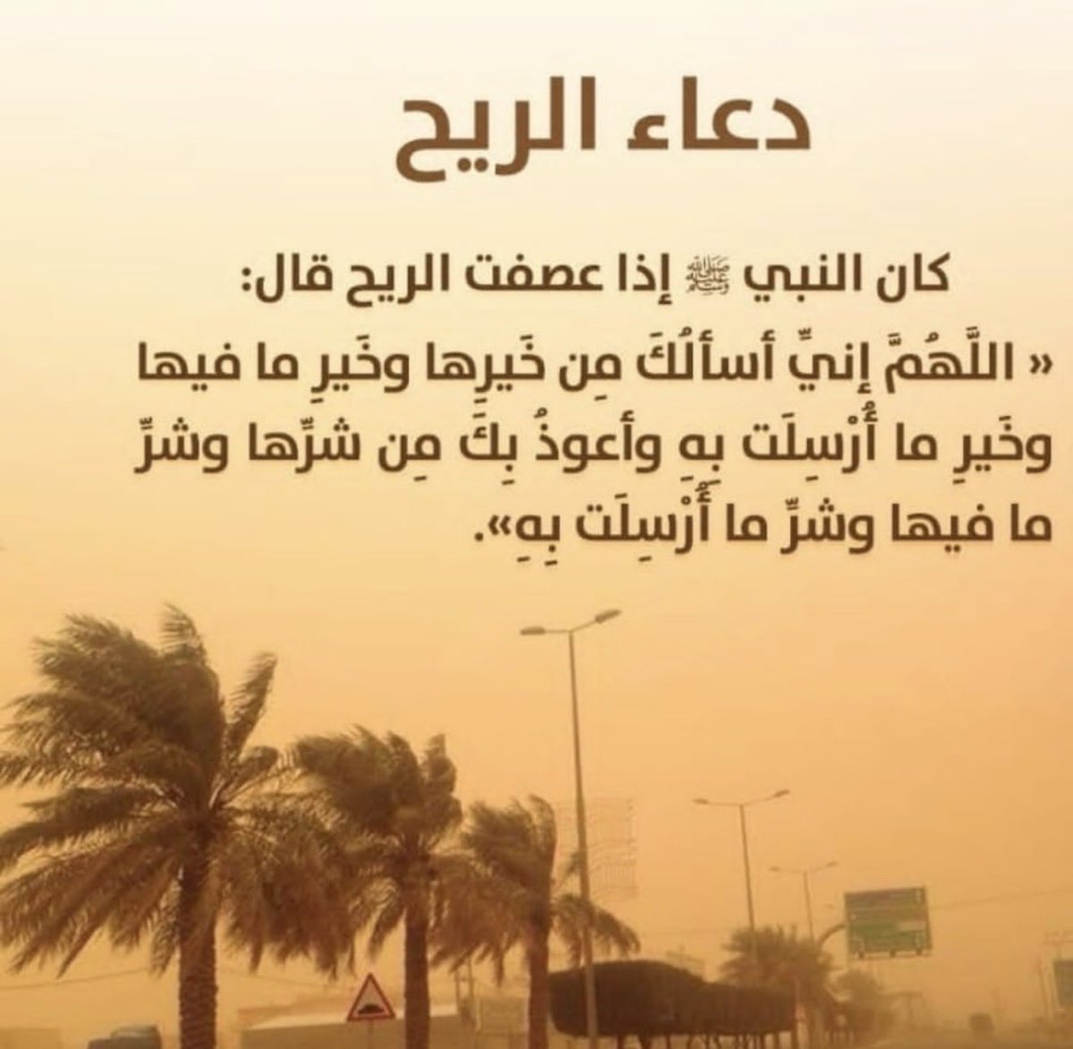 maha alshoghaibi tweet media