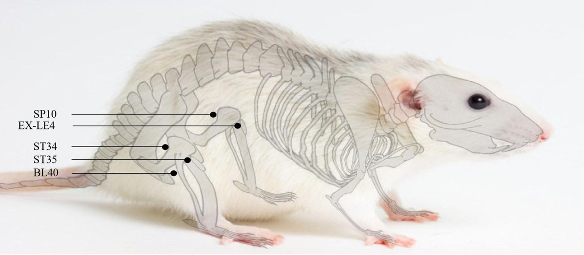 Farving🙆⭐️ tweet media