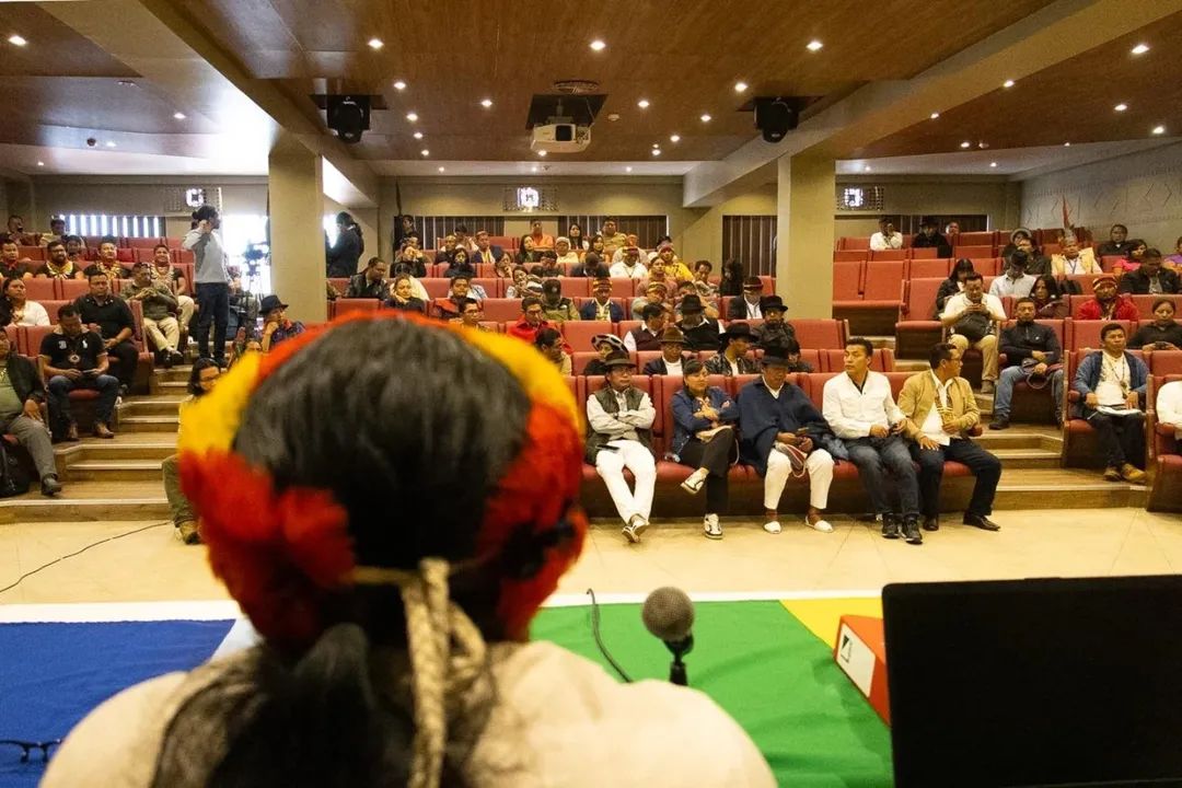 Apawki Castro tweet media