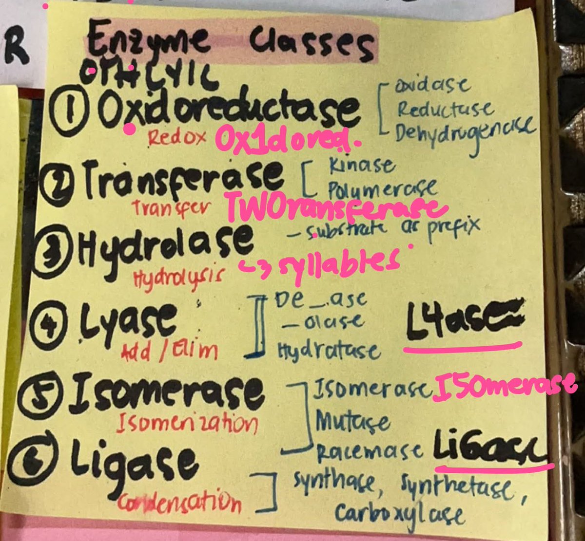 charli escivex ❤️ frph! tweet media