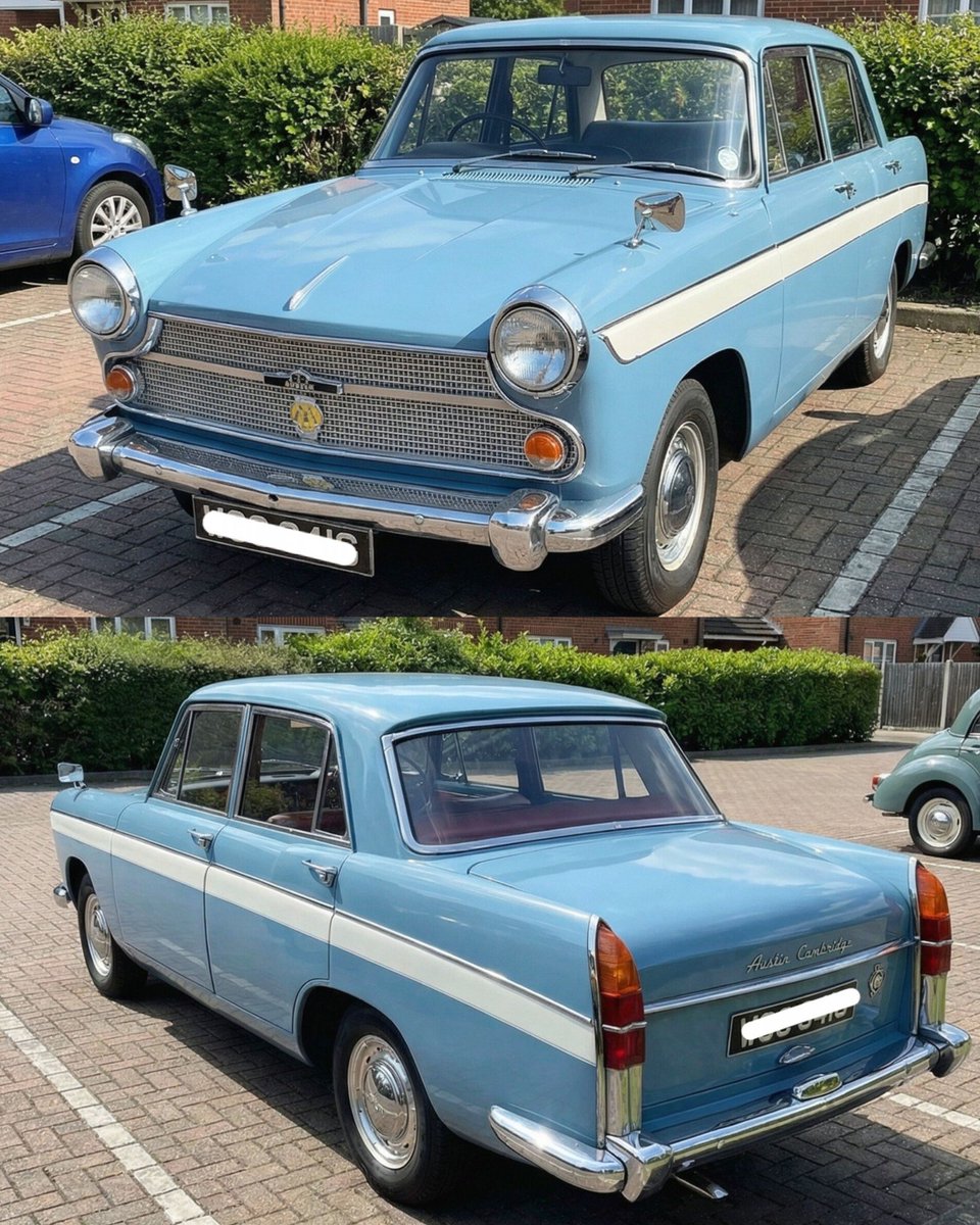 FlyFifer tweet media