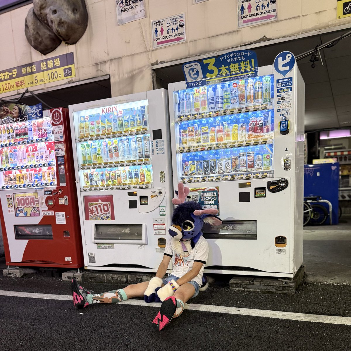 Bungee @LVFC tweet media