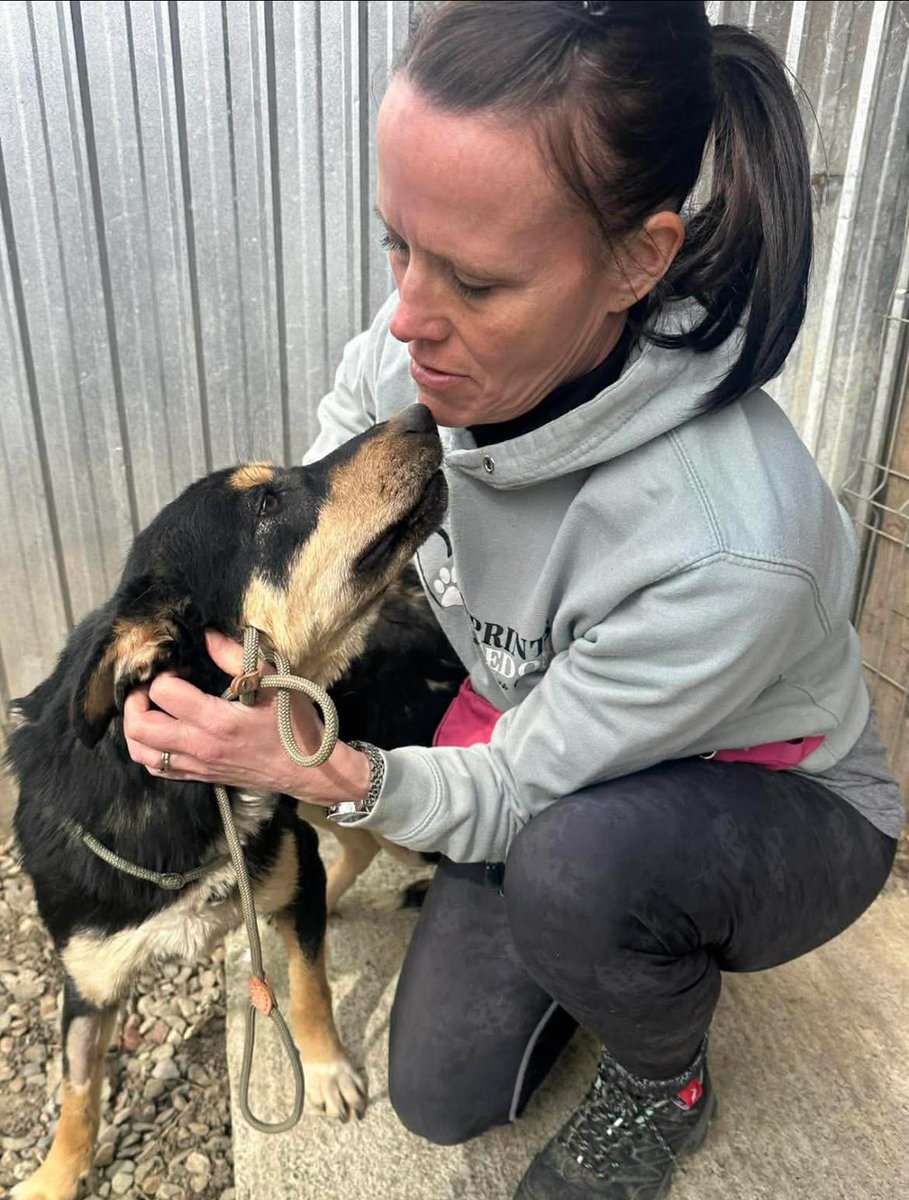 Pawprints to Freedom Rescue🐾 tweet media