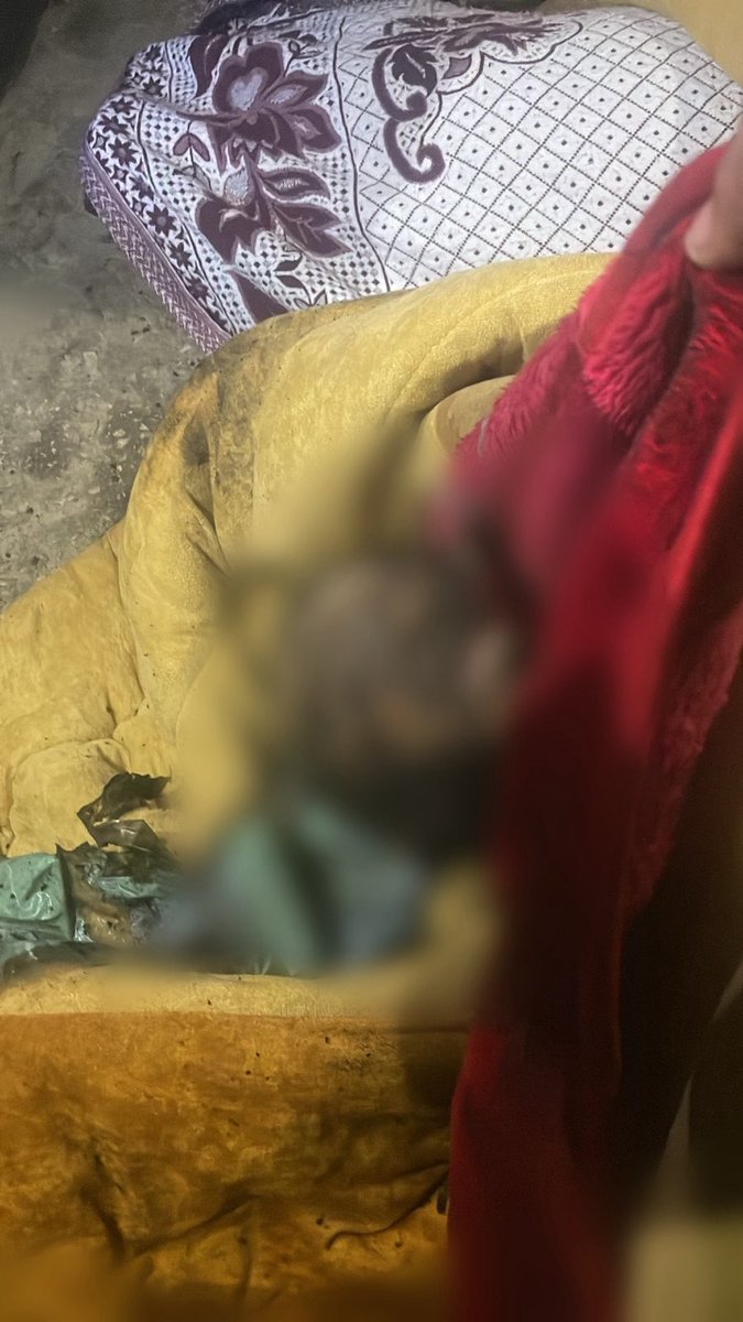 Syrian Democratic Ob. | المرصد الديموقراطي السوري tweet media