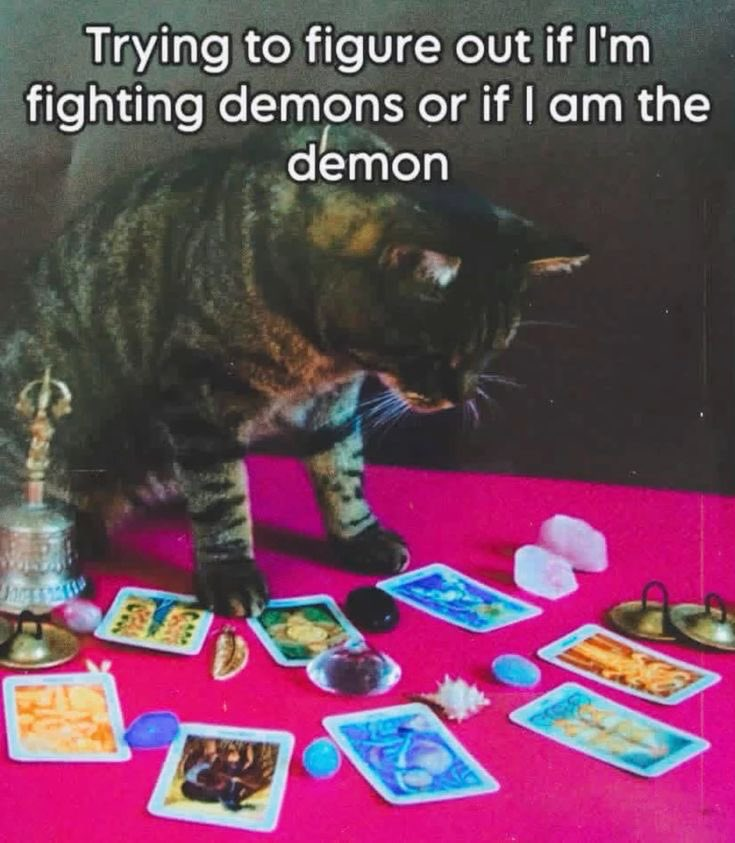 ꧁ঔৣ☬✞ῳɨʀɛ✞☬ঔৣ꧂ tweet media