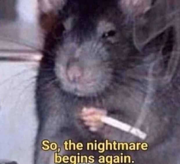 elsa ヽ(；▽；)ノ tweet media