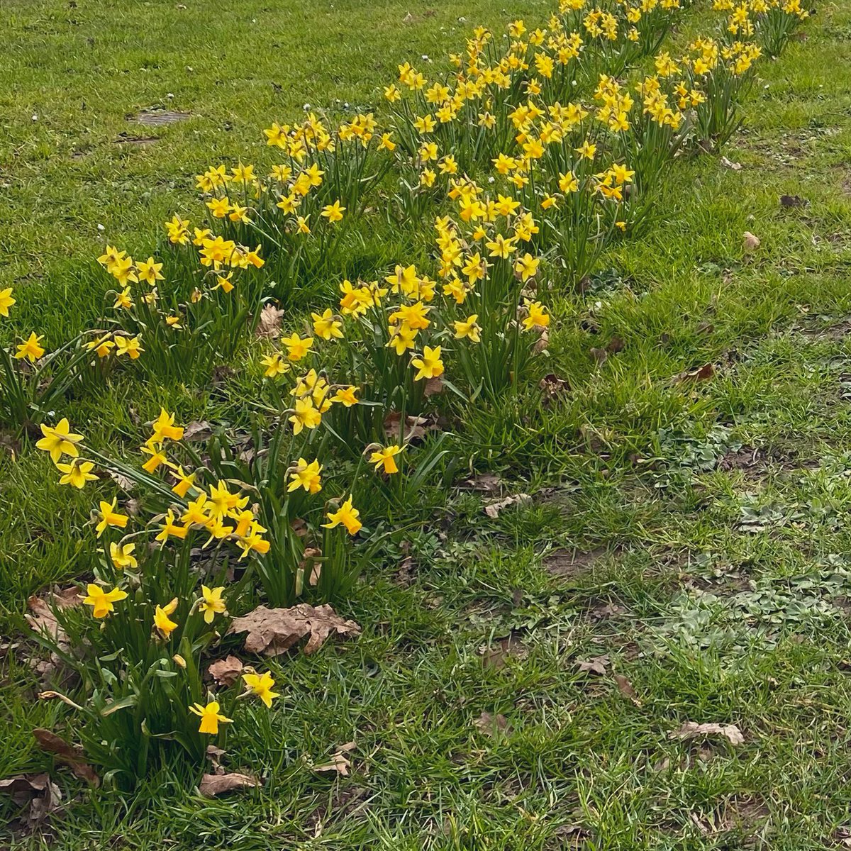 georgie ❀ tweet media