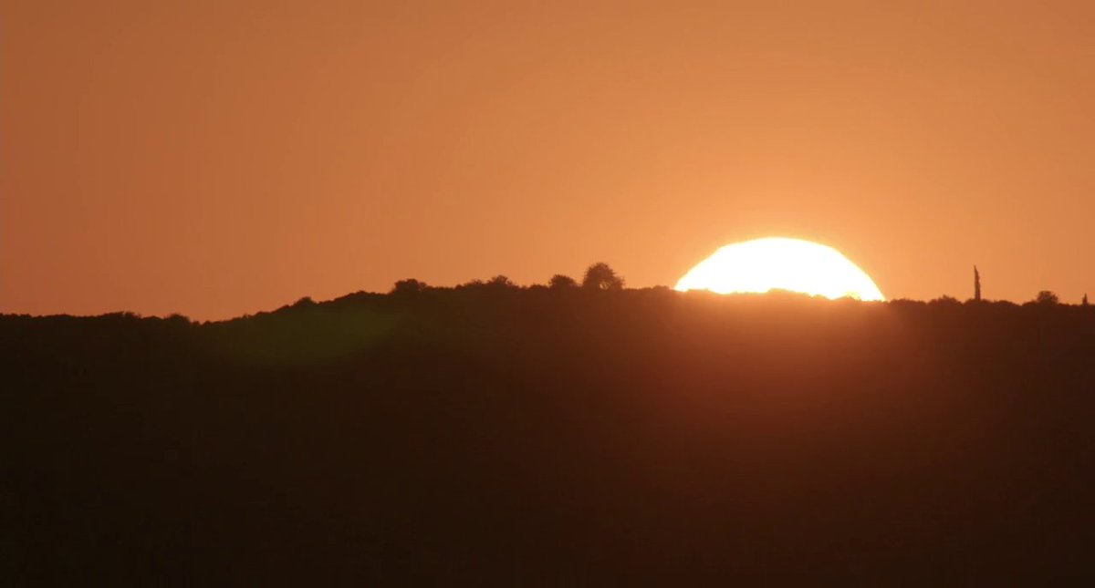 the cinema fella tweet media