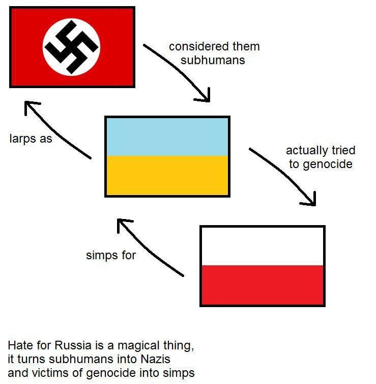 🇷🇺 european_nazbol 🇷🇺 tweet media