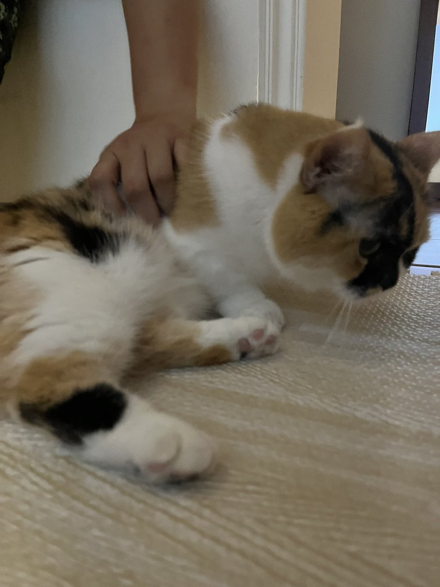 嵐Lan9906 tweet media