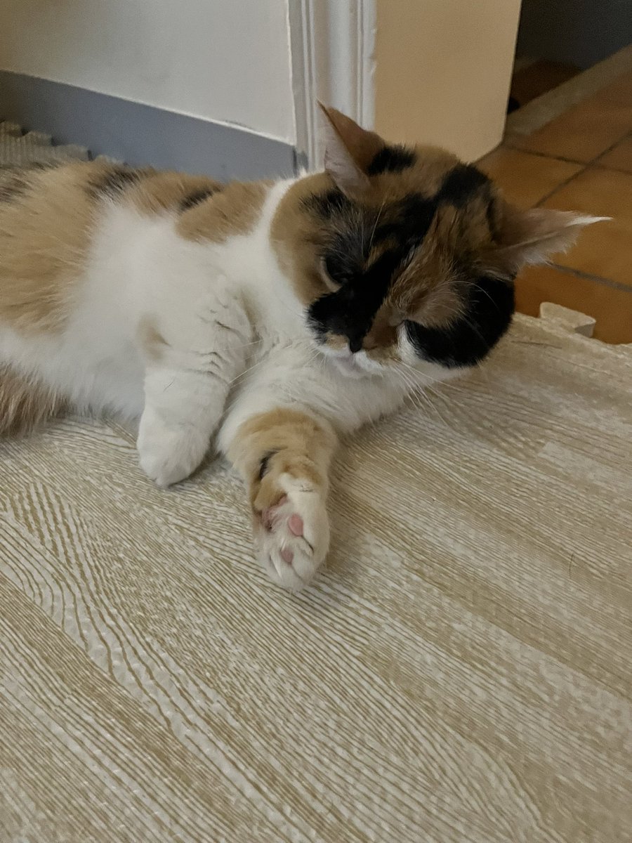 嵐Lan9906 tweet media