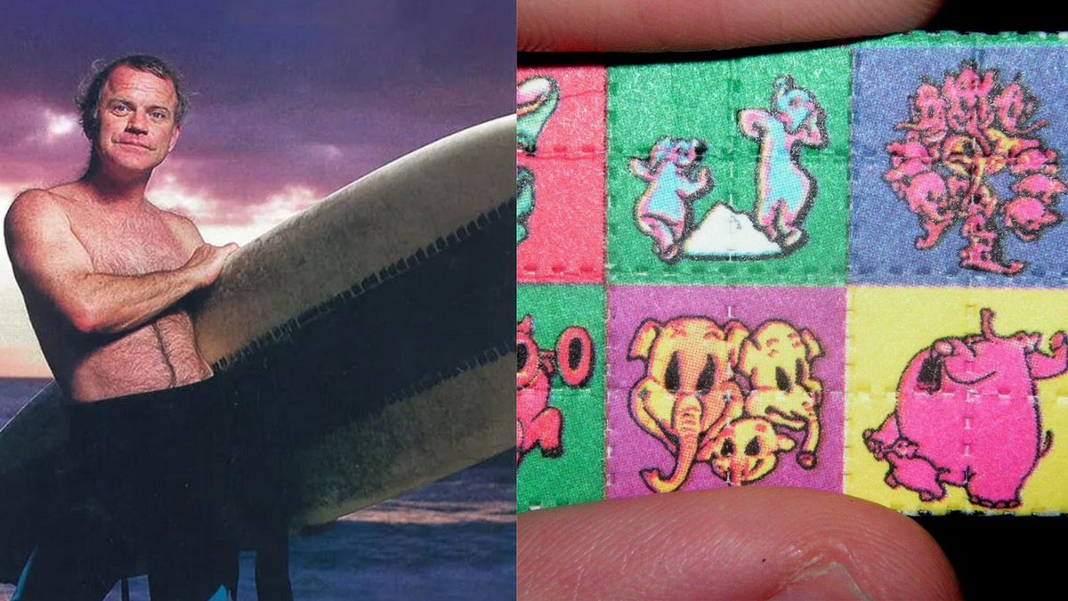 Kary Mullis invented PCR — the technology behind every DNA test, COVID test, and the human genome project.

𝗪𝗵𝗶𝗹𝗲 𝗵𝗲 𝘄𝗮𝘀 𝗼𝗻 𝗟𝗦𝗗.

He was driving to a surf spot in Mendocino in 1983 when visions of glowing DNA chains started appearing in front of him on the road.