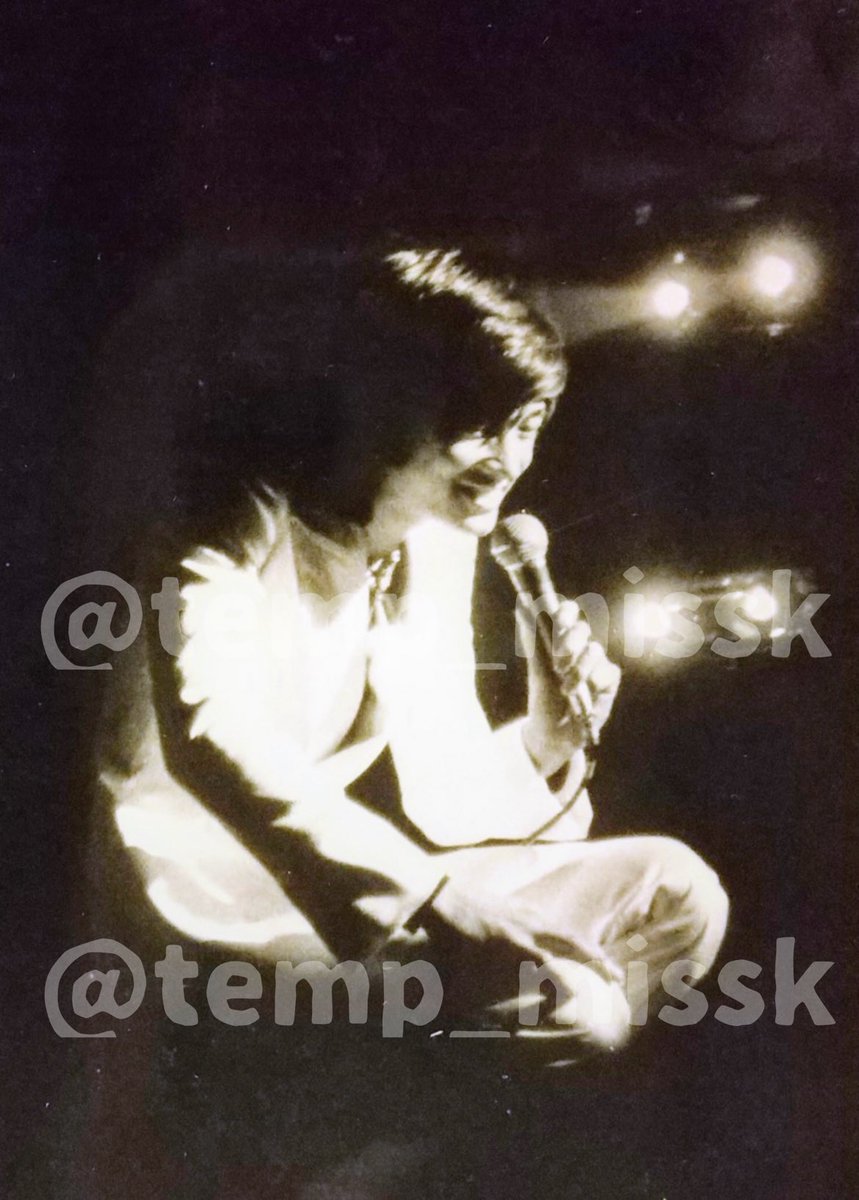 金子かね子🐝 tweet media