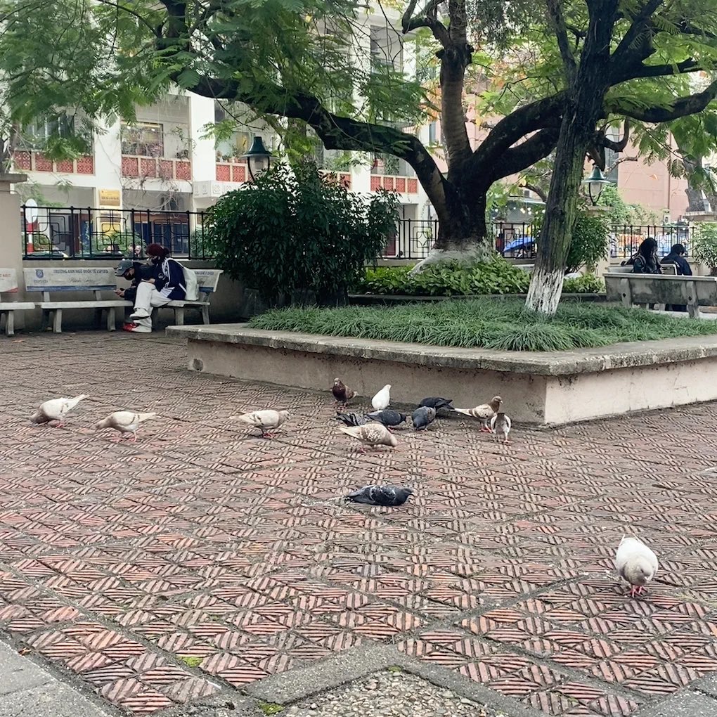 Nguyễn Hoàng Dương tweet media