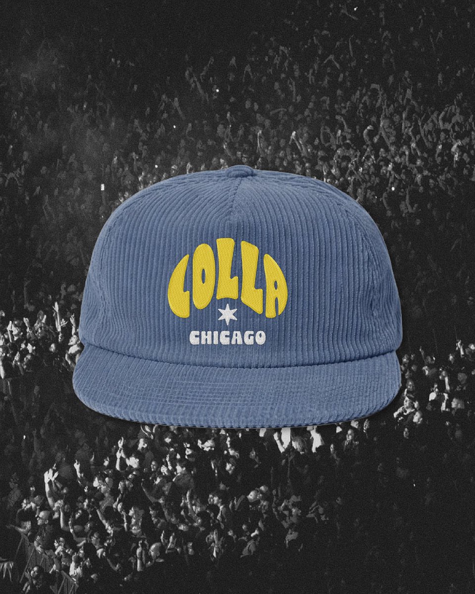 Lollapalooza tweet media