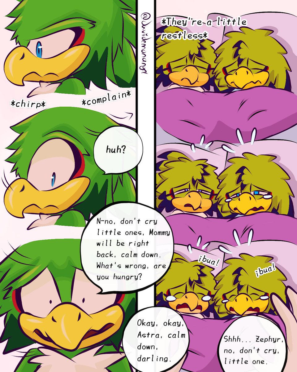 Stolen The Peacock 🦚💙 tweet media