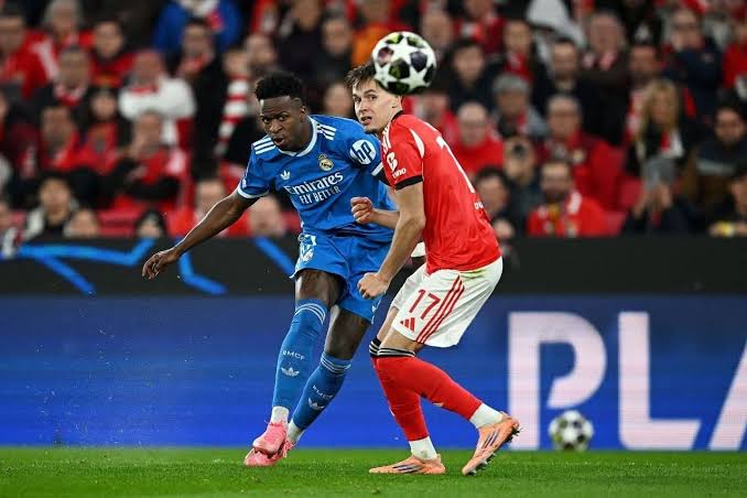 Telecaster fan tweet media