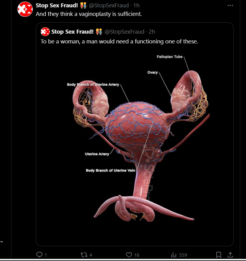 Monika Katarinčič tweet media