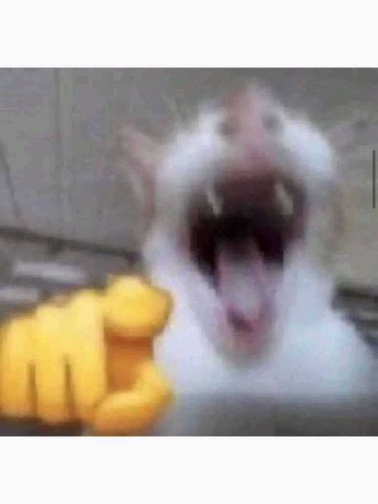 Dontneedone tweet media