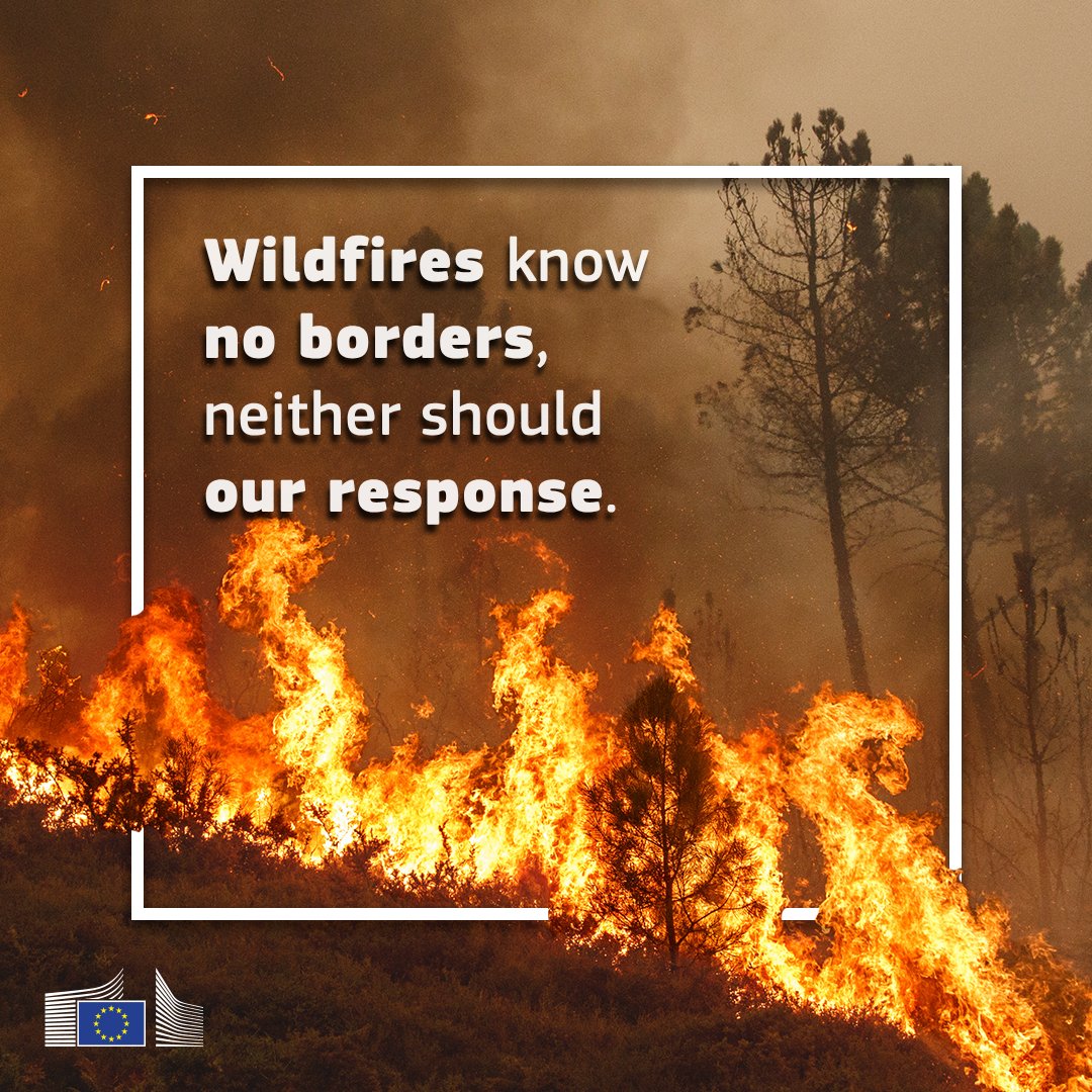 European Commission tweet media