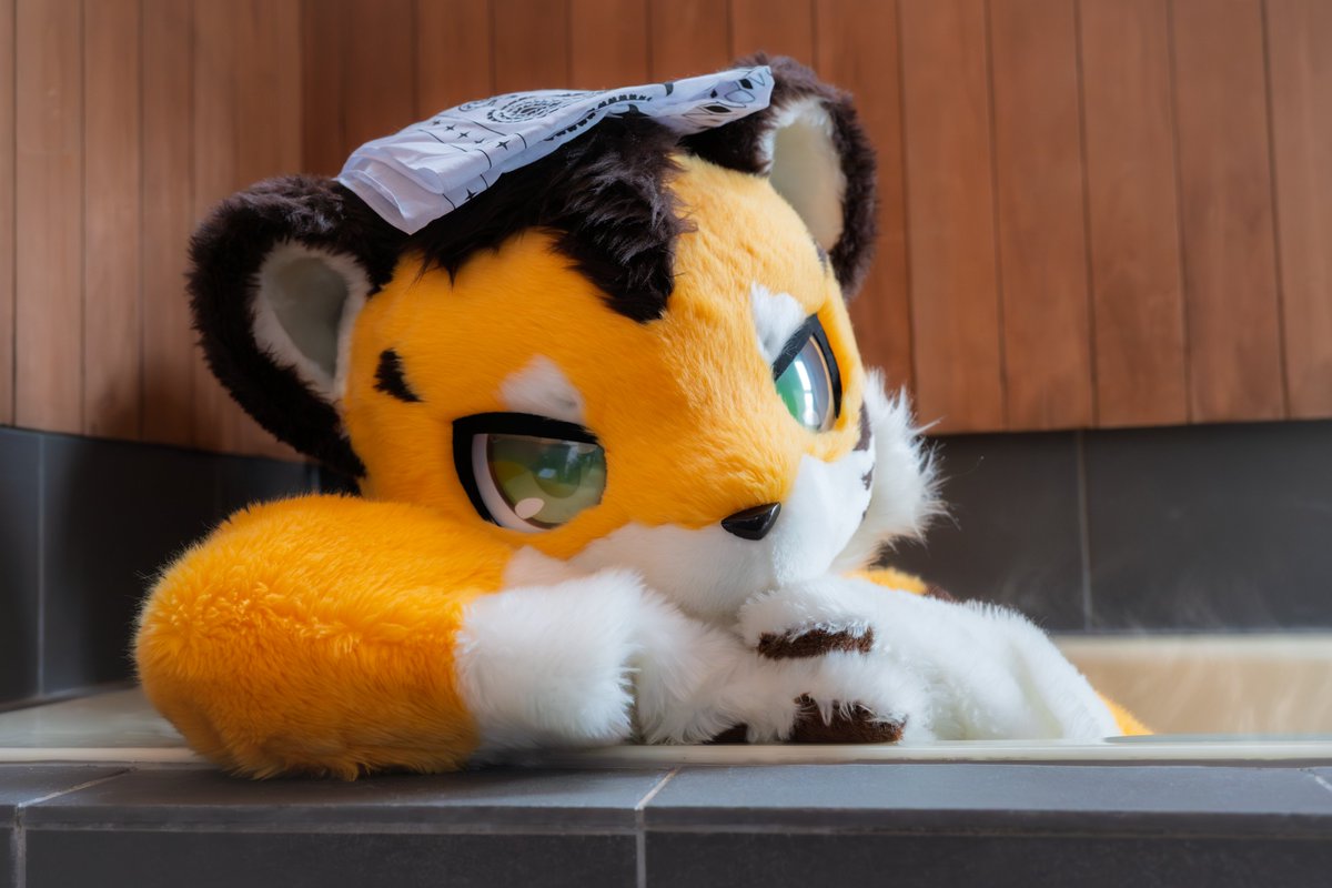 ヒンリ🐯 tweet media