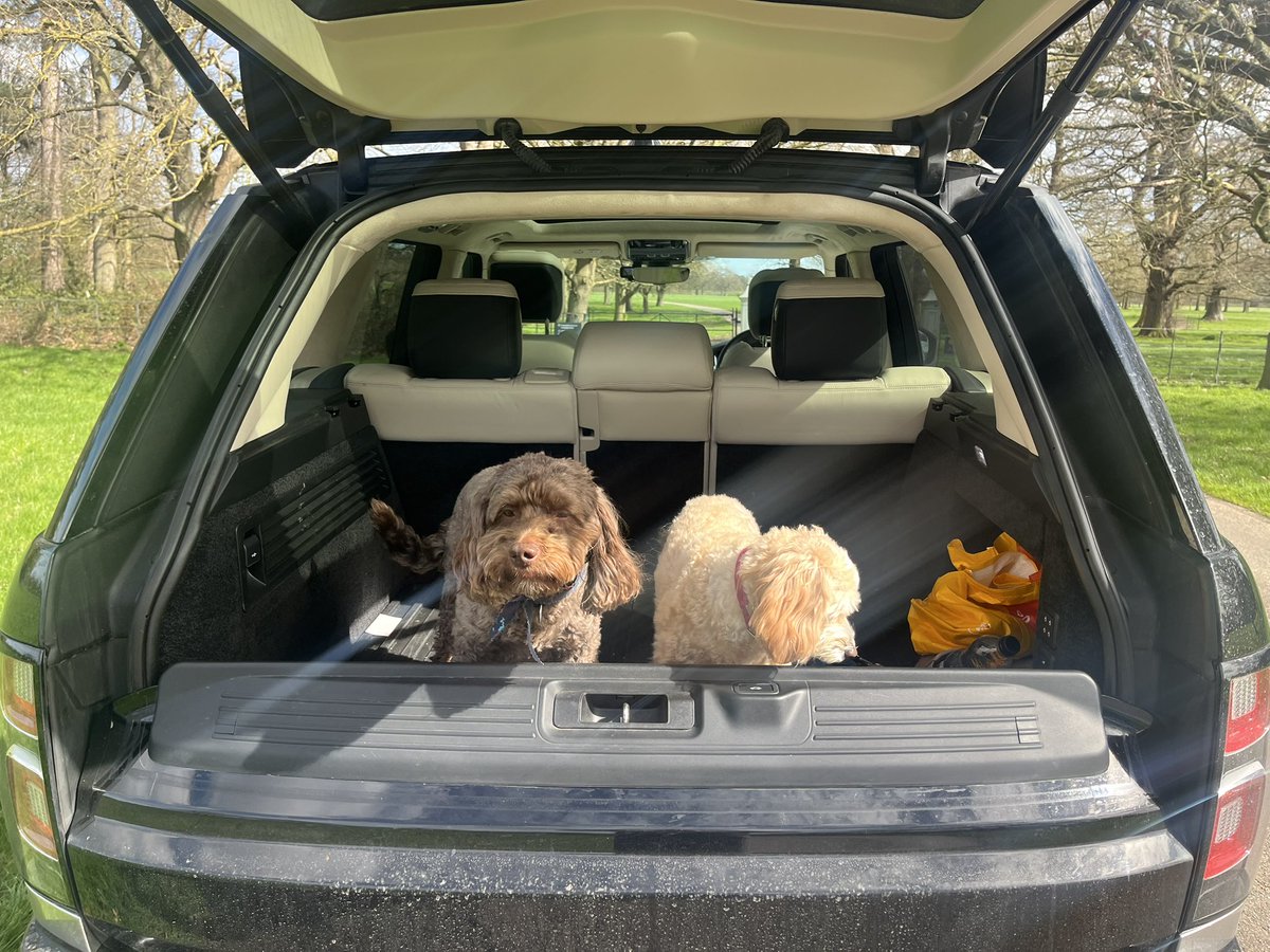 Brendan Robinson tweet media