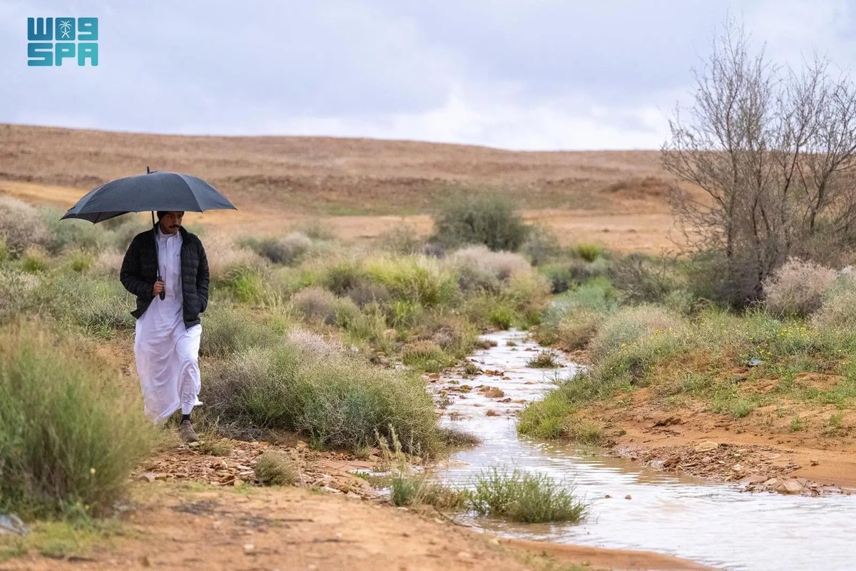 burydahprojects's tweet photo. لا زان الجو 🌧️ .. لا تدور معاذير ☔️

اعتدال الأجواء والأمطار يعزز الإقبال على المتنزهات البرية في #القصيم https://t.co/p7Ewew738S