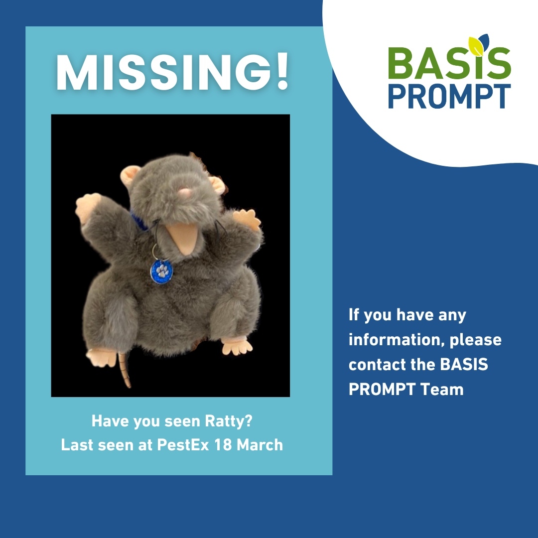 BASIS PROMPT (@BASIS_PROMPT) / Posts / X