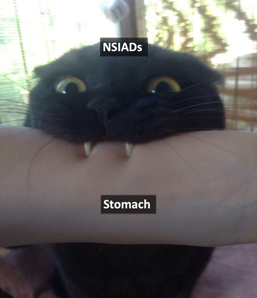 Statins - Muscle Pain (Myalgia)
📍 Mechanism: Reduced CoQ10 and mitochondrial dysfunction - statins inhibit HMG-CoA reductase blocking cholesterol synthesis - also reduces coenzyme Q10 (ubiquinone) production causing muscle mitochondrial dysfunction and myalgia
📍 Spectrum: