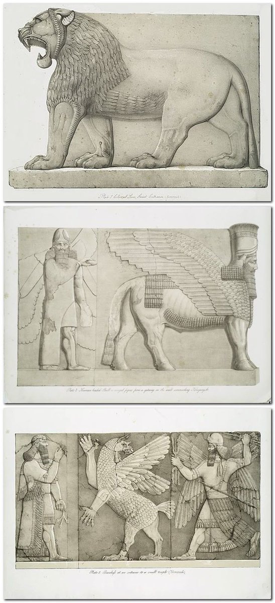 مصطفى tweet media