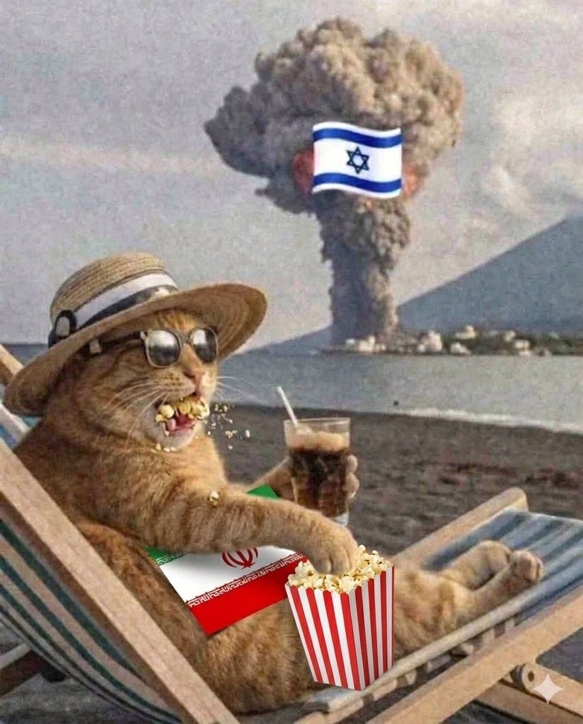 💚☫❤️خانومه پناه (اکانت جدید) tweet media