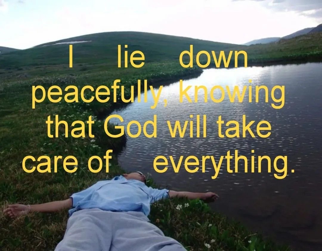 the culture | magazine tweet media