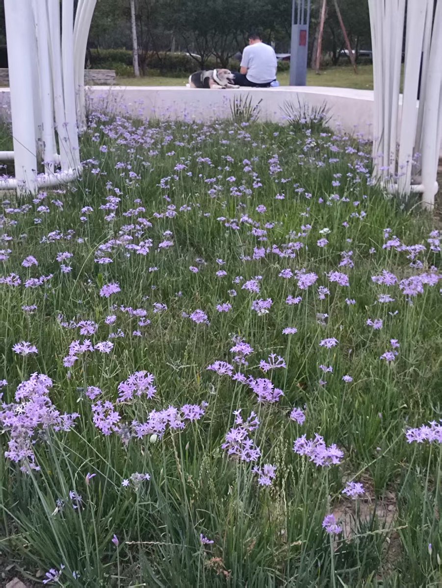 Linda Mc Castor tweet media