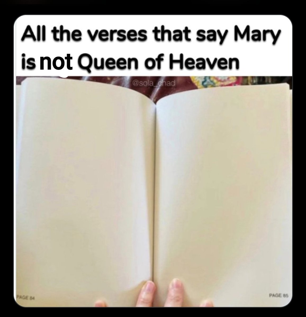 Fleeting Glimpse tweet media