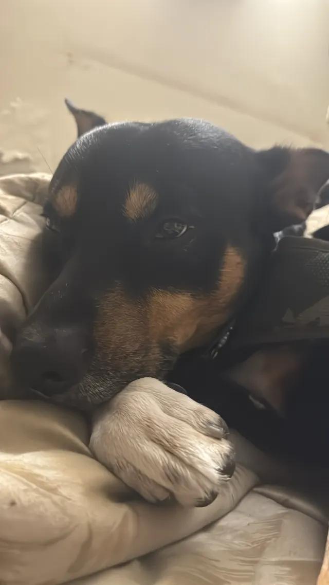 ciggdoll tweet media