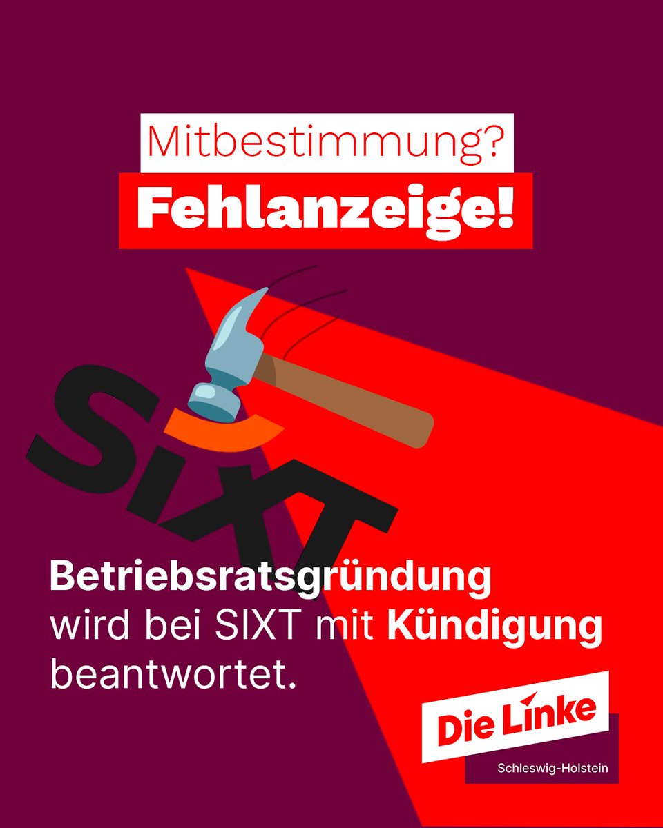 Die Linke SH ❤️ tweet media