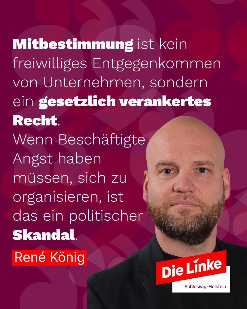 Die Linke SH ❤️ tweet media