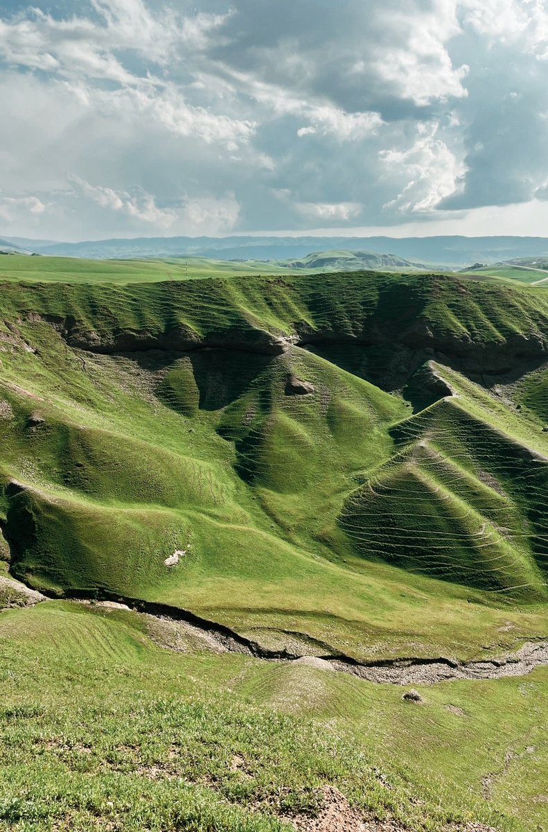 🌣 Alan Barzinji tweet media