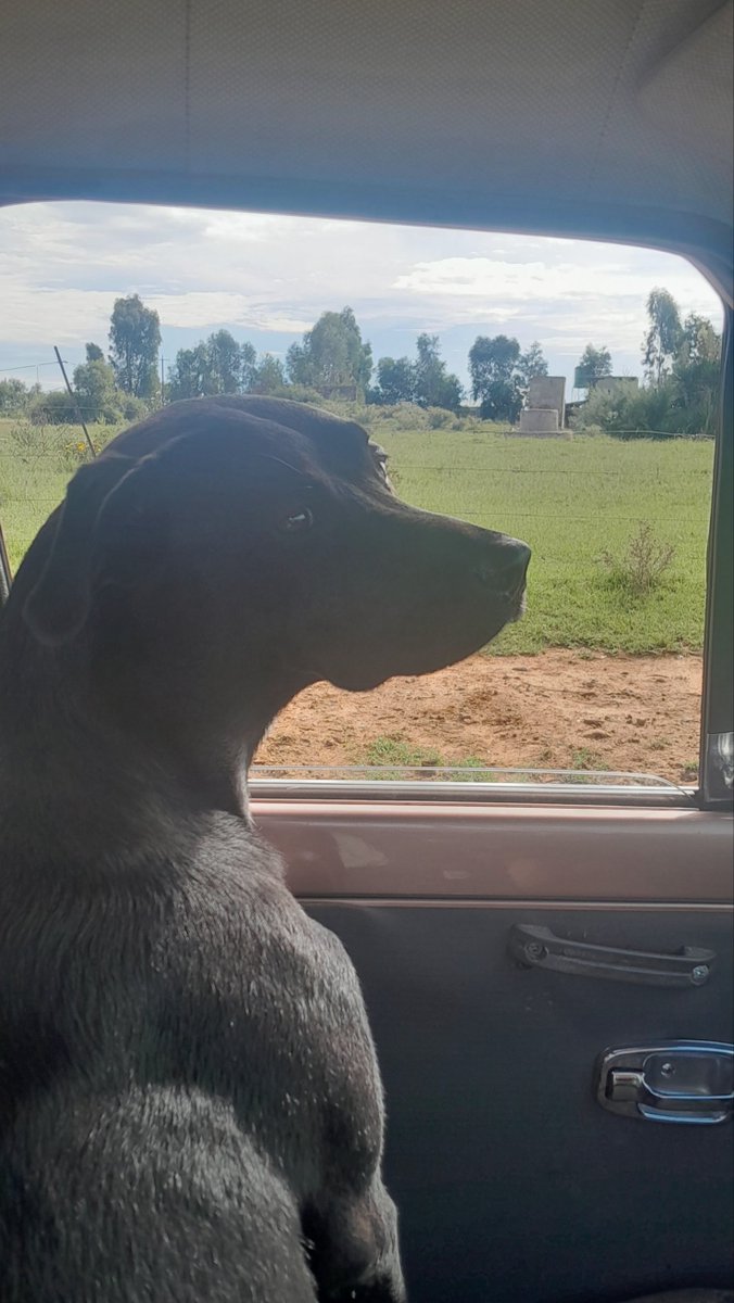 Ryno J van Vuuren🇺🇲 tweet media